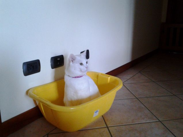 allora, Umana, lo ritiriamo questo bucato?