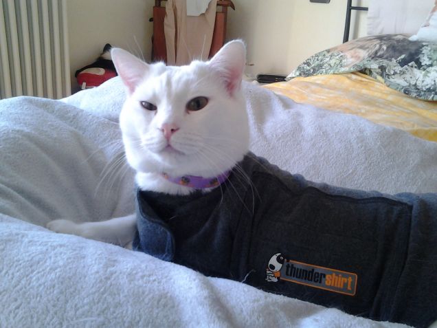 Yaaawnnn...è già ora di alzarsi?