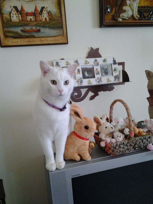 So che non dovrei stare quassù...