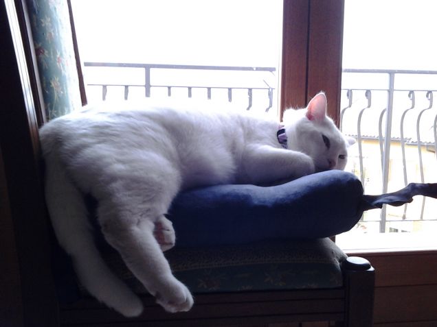 Mannaggia alle seggiole di casa...tutte troppo piccole!