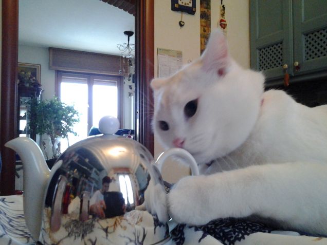 Volete un po' di the?