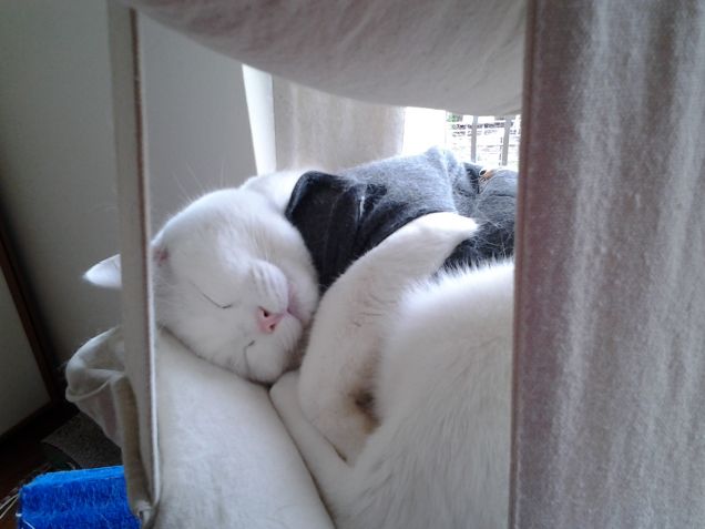 Zzzzzzzzzzzzzzzzzzzzzzzzzzzzzzzzzzzzzzzzzzzzz