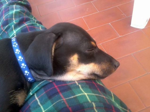 my bibi