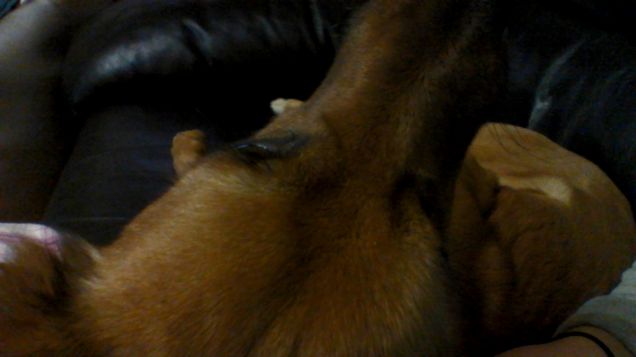 Ma cos'è?  Una testa? Di chi? Di Prince!!