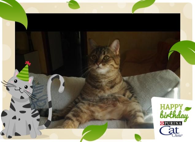 Tanti auguri da Cristal!!!