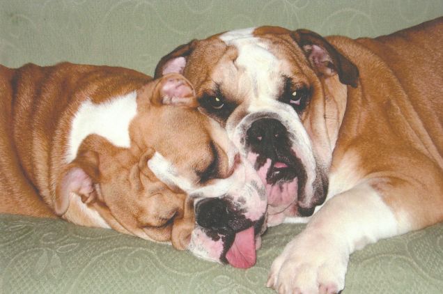 Lucio e Alice