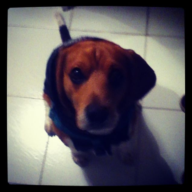 Pronto per il concerto!!