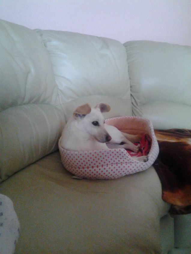 birba come si sta bene qui