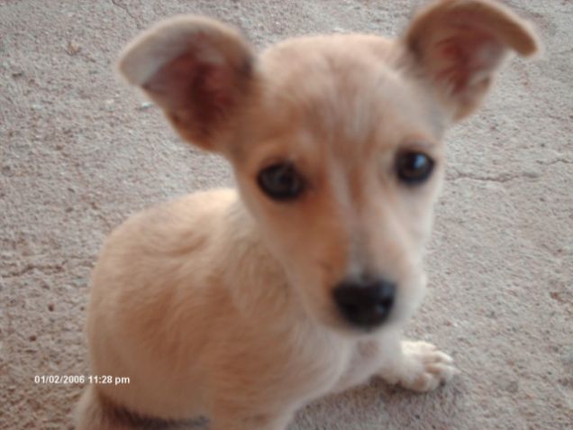 Emy,una mia amichetta