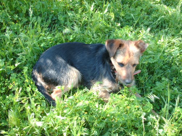 Lupe,la mia cuginetta