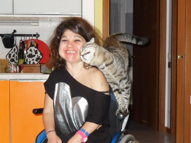 Coccole , cibo e fusa