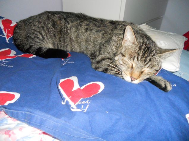 Relax sul letto di mamma!!