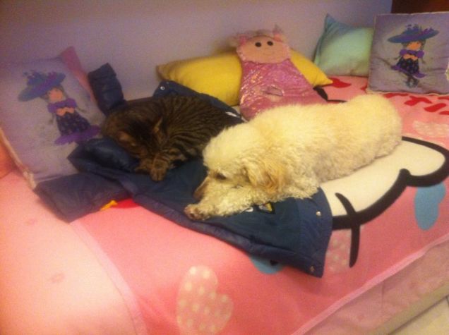 lillo e sissi