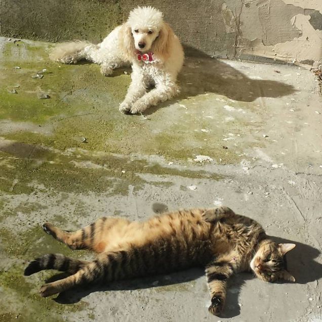 prendiamo il sole