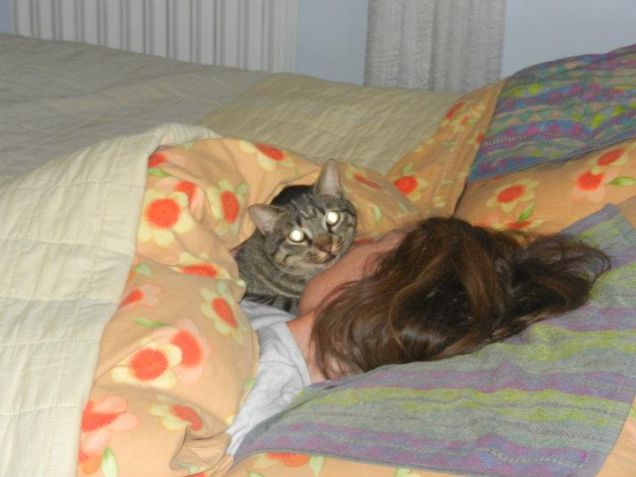 Gigi il dormiglione...