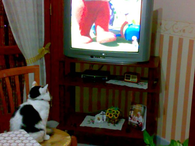 Micetta e Teletubbies 