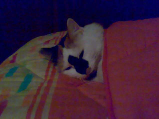 Perchè mi disturbi?