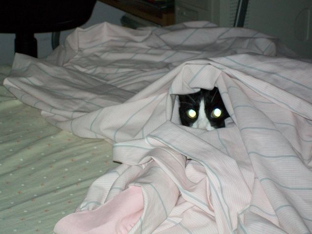 classici del bianco&nero