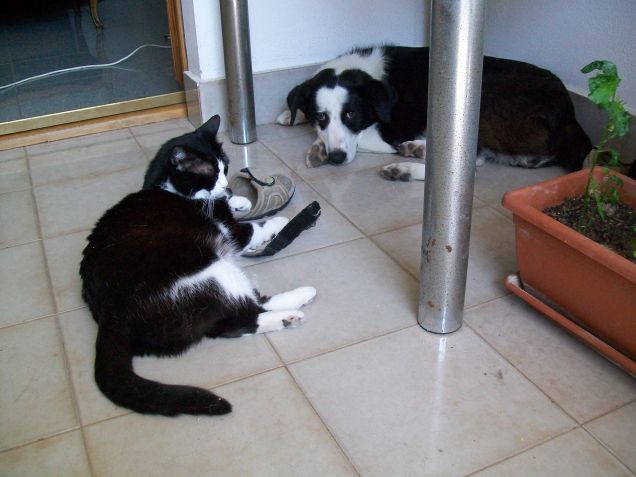 amicizia..con riserva..