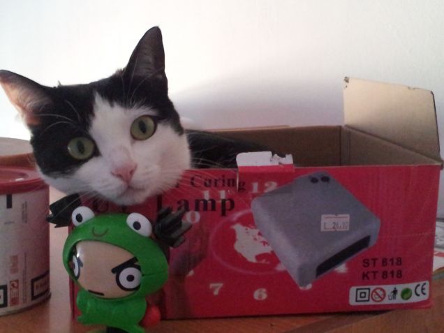 bella nella scatoletta