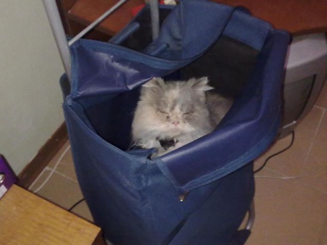 Qui di sicuro non mi trovi!!