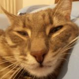 HEARTIE - L' AMORE DELLA MIA VITA