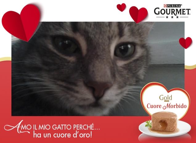 HEARTIE - CUORE D' ORO