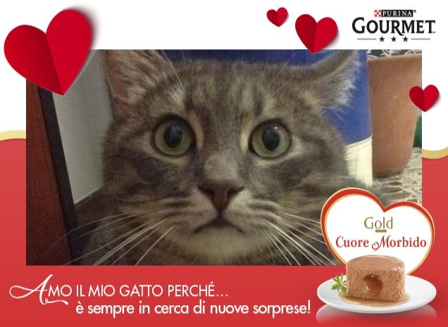 HEARTIE GIOCHERELLONE