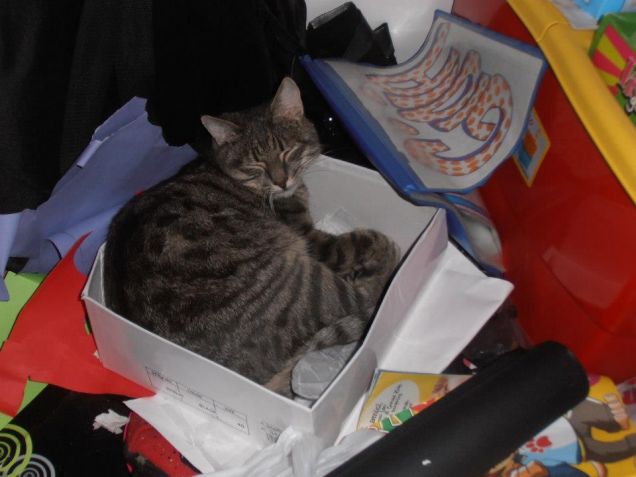 Accidenti!!! Hanno scoperto anche questo nascondiglio!!!