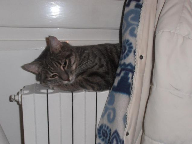 Meditazione...sul termosifone!!!