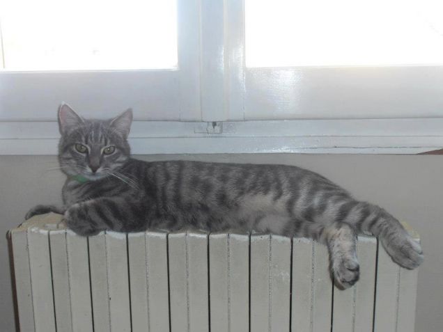 Ehm...che succede amico???