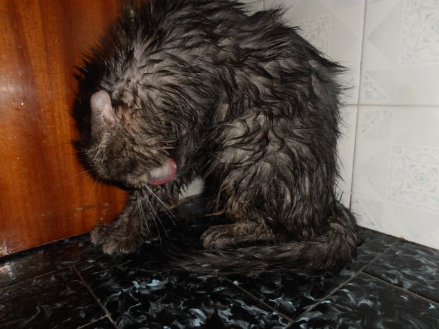 HEARTIE FA IL BAGNETTO...