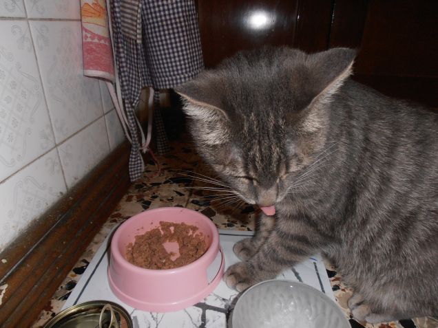 HEARTIE SI PULISCE IL MUSETTO