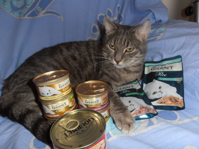 E adesso??? Quale scelgo???