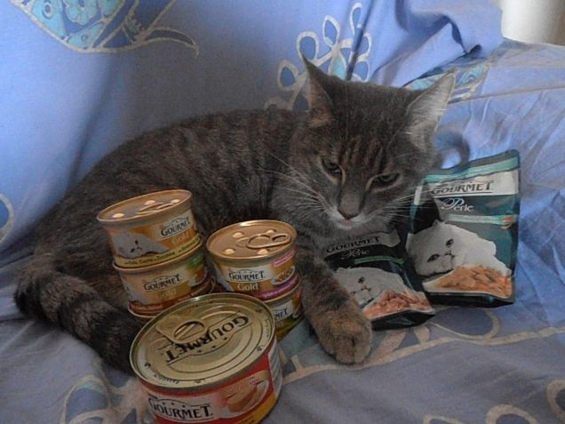 Ok, le foto...ma, adesso, posso mangiare la mia pappa???