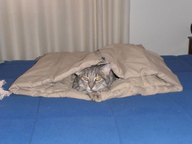 QUESTA GIACCA, E' MIA!