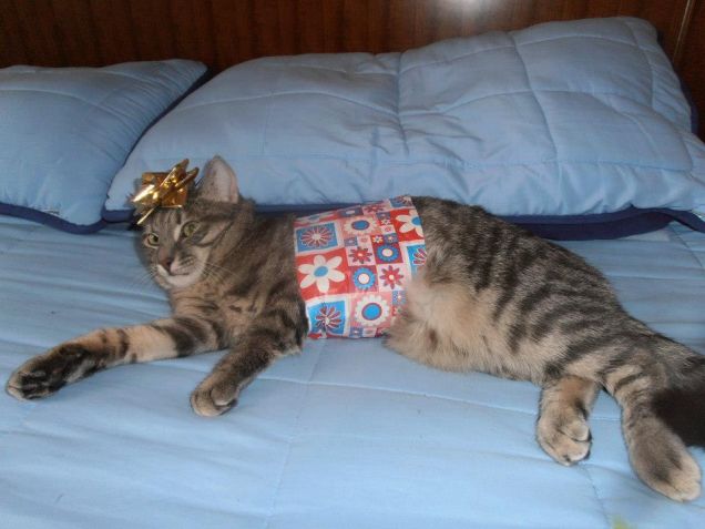 UN DONO SPECIALE NELLA NOSTRA FAMIGLIA