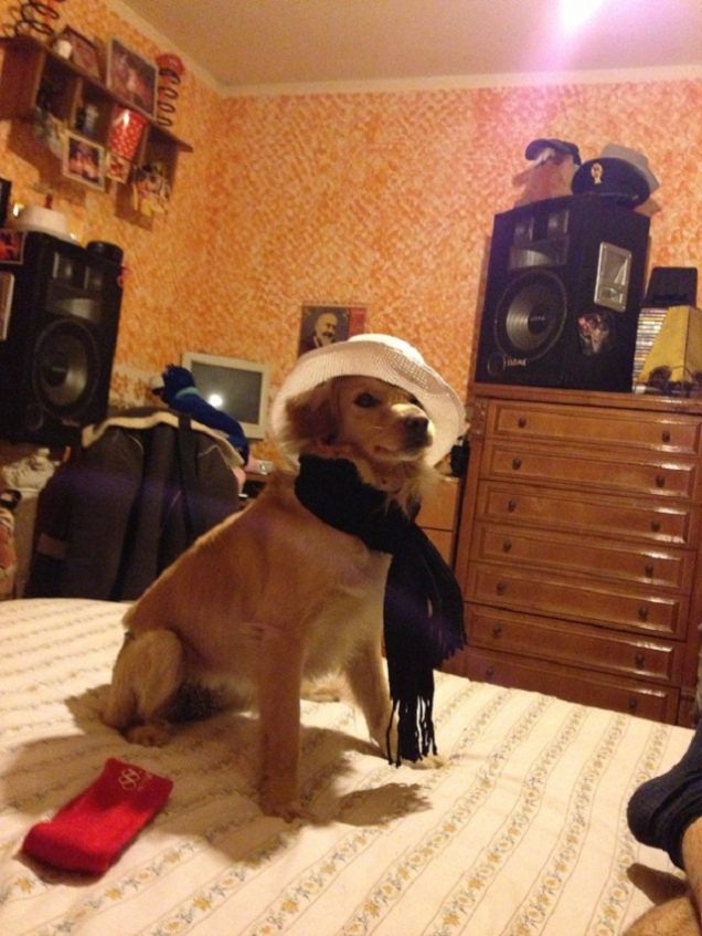 il caen di Dolce & Gabbana