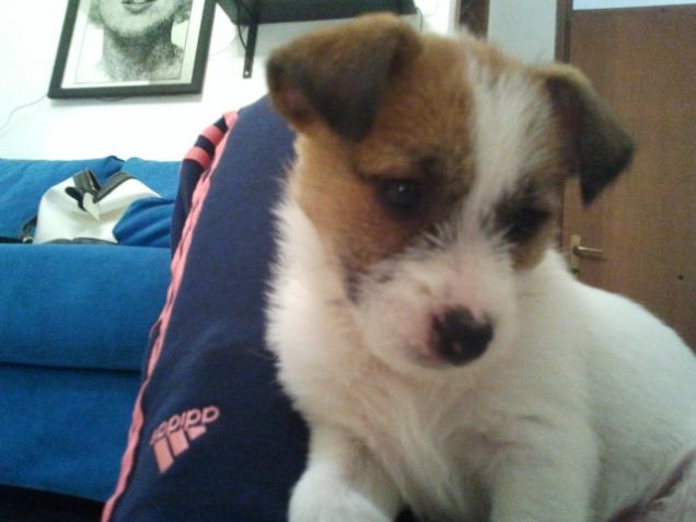 comodo stare sopra la pancia