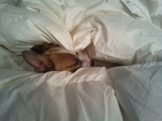 come si sta caldi.....