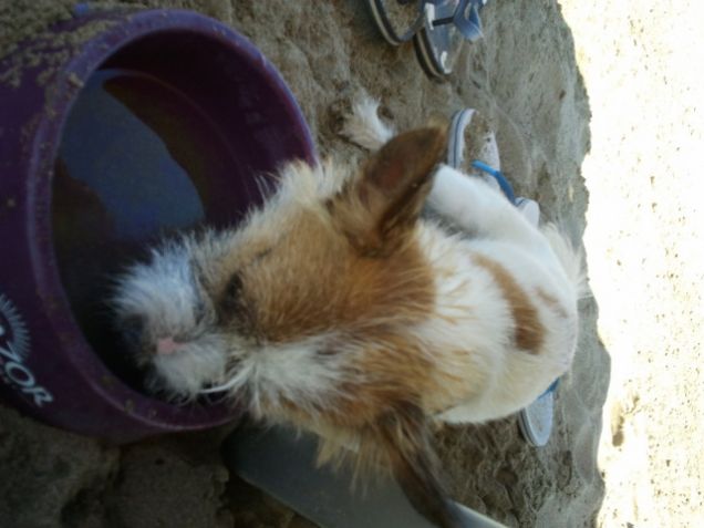 mmmm che sonnoooooooo