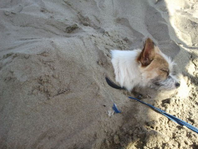 come si sta freschi qui sotto....