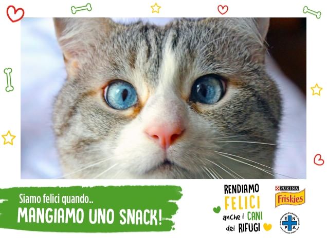 qualcuno ha detto chicco?