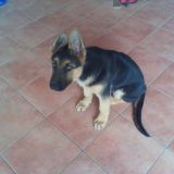 Markos