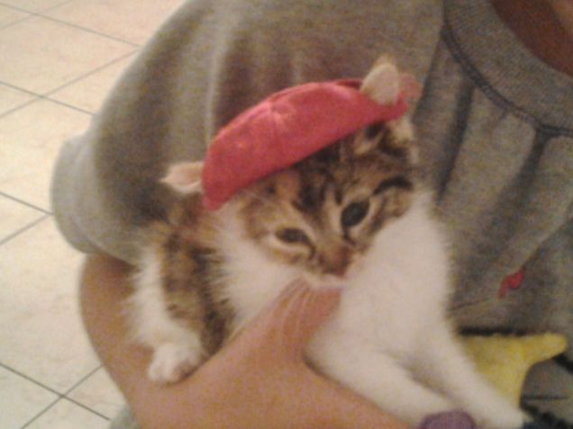 Witch con cappellino