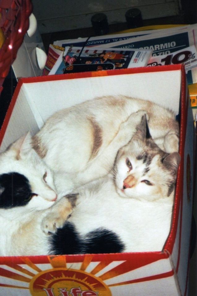 NINI E SISSY INNAMORATI PAZZI
