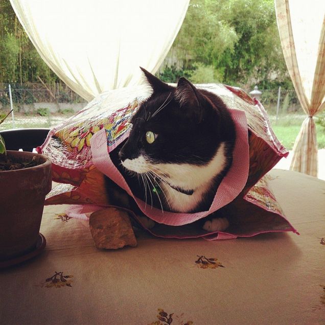 nascondiglio preferito