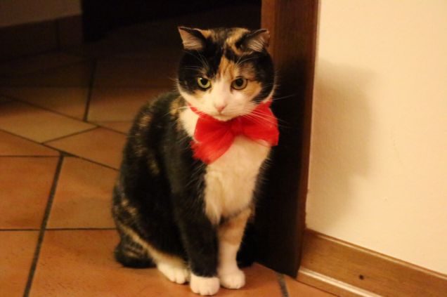 Pronta x ricevere gli ospiti alla vigilia di natale 