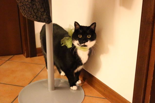 Aspetto gli invitati 