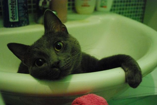 Alle sei del mattino...